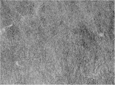 Felt Fiber Texture